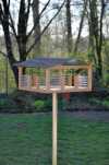 birdhouse_one_011